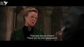 Maggie Smith - giáo sư McGonagall trong lòng fan 'Harry Potter'  第3张