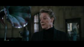 Maggie Smith - giáo sư McGonagall trong lòng fan 'Harry Potter'  第2张