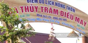 “Đánh thức” Làng nghề trồng mai xã Tân Tây để làm du lịch nông thôn  第1张