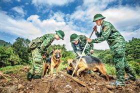  Vào Làng Nủ, gặp chú chó từng đi cứu hộ quốc tế 