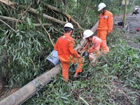 Ngành điện miền Nam khuyến cáo giải pháp đảm bảo an toàn mùa mưa bão  第5张