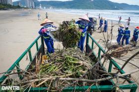 Sau mưa lớn, bờ biển Đà Nẵng ngập rác lẫn kim tiêm  第10张