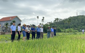 Đoàn kiểm tra, giám sát T.Ư Hội Nông dân Việt Nam làm việc với TP Cần Thơ, tỉnh An Giang  第6张