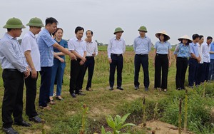 Đoàn kiểm tra, giám sát T.Ư Hội Nông dân Việt Nam làm việc với Hội Nông dân TP Cần Thơ, tỉnh An Giang