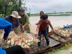 Hội Nông dân Hà Nội khẩn trương hỗ trợ hội viên khắc phục hậu quả do bão lũ