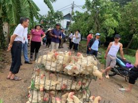 Hội Nông dân Hà Nội khẩn trương hỗ trợ hội viên khắc phục hậu quả do bão lũ  第3张