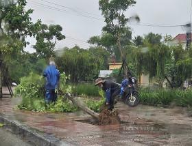 Tin mới về bão số 4: Mưa to, gió lớn ở Quảng Bình khiến cây ngã đổ, có tuyến đường ngập sâu