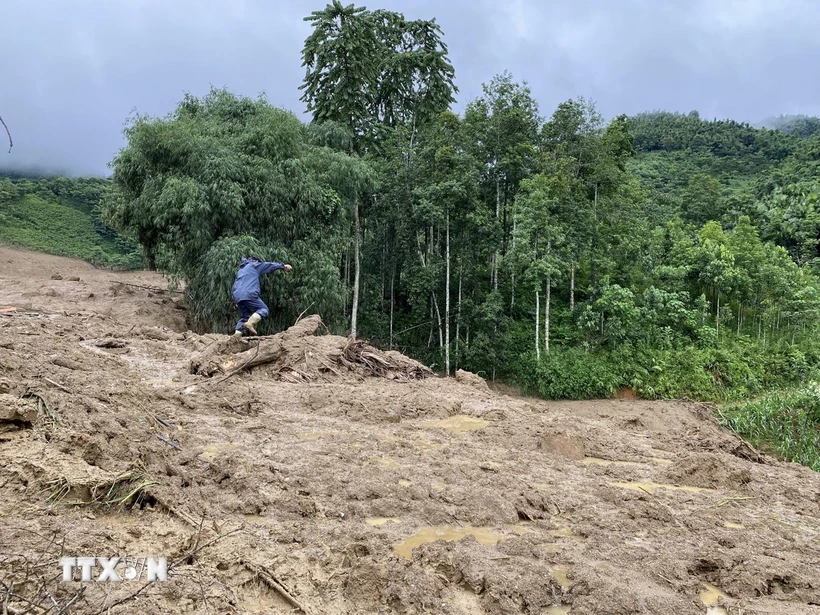  Việt Nam trân trọng sự hỗ trợ kịp thời của quốc tế trong khắc phục hậu quả bão 第1张