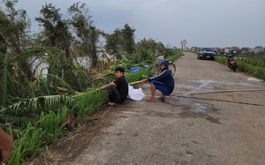 Nông dân gượng dậy thế nào sau bão Yagi: Những &quot;bàn tay&quot; phật thủ... trôi theo lũ, một xã mất 250 tỷ đồng (Bài 1)  第16张