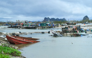 Bão Yagi khiến Hải Phòng, Quảng Ninh giảm 0,65% tăng trưởng, &quot;cuốn bay&quot; 40.000 tỷ đồng