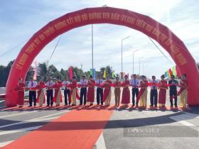 Mê mẩn tuyến đường 7km trị giá gần 800 tỷ đồng đi xuyên rặng dừa, vừa khánh thành tại Bình Định