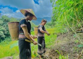  Xem đồng bào Xơ Đăng ăn mừng lúa mới 