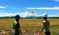  Giăng mắc hàng nghìn cạm bẫy săn bắt chim trời gần trụ sở chính quyền thị trấn 第11张