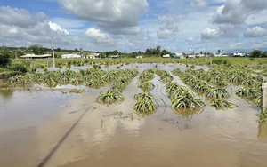 Điều tra vụ nam thanh niên nhiều lần giao cấu với bé gái 13 tuổi