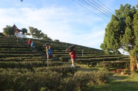 Trải nghiệm ở Tam Giác Vàng 