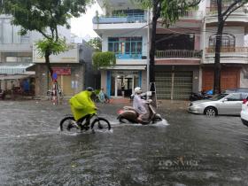 Nhiều tuyến phố ở Đà Nẵng bị ngập từ sáng sớm do mưa lớn