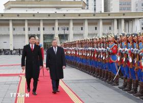 "Cây tre ngoại giao" Việt Nam đang vươn cành, tỏa bóng!