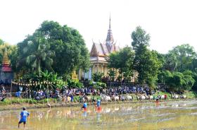  VIDEO: Cuồng nhiệt Hội đua bò chùa Rô ở An Giang 第4张