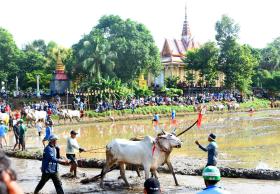  VIDEO: Cuồng nhiệt Hội đua bò chùa Rô ở An Giang 第5张