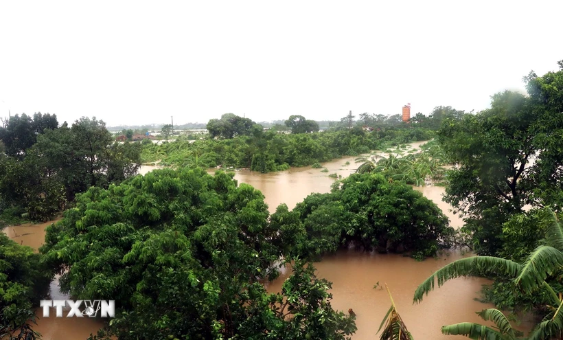  Hưng Yên tập trung đảm bảo an toàn hệ thống đê điều 第1张