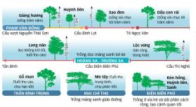 Cây xanh lâu năm trong đô thị: Giữ thì bất an, cắt lại sợ dư luận  第5张