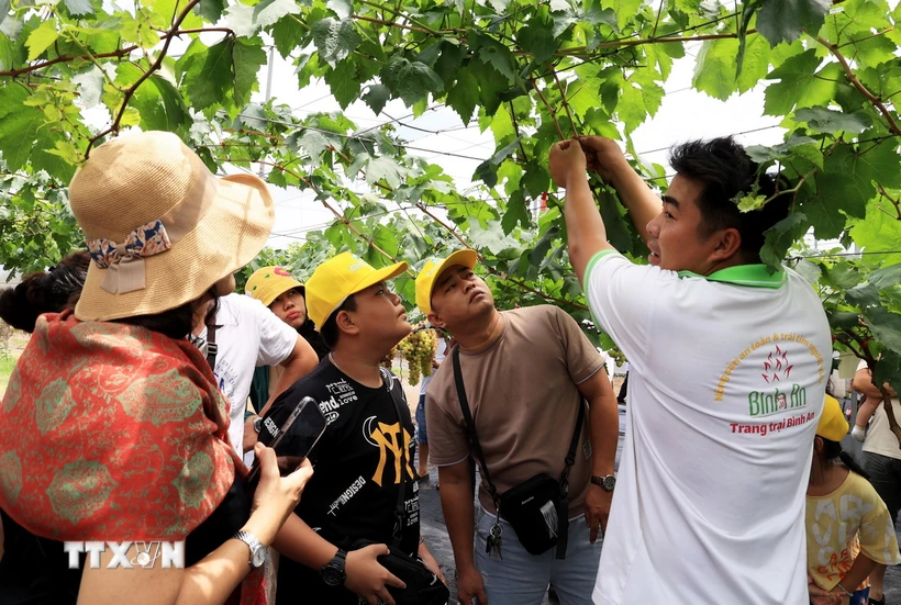  Bình Thuận: Tour trải nghiệm miệt vườn thu hút du khách dịp Hè 第1张